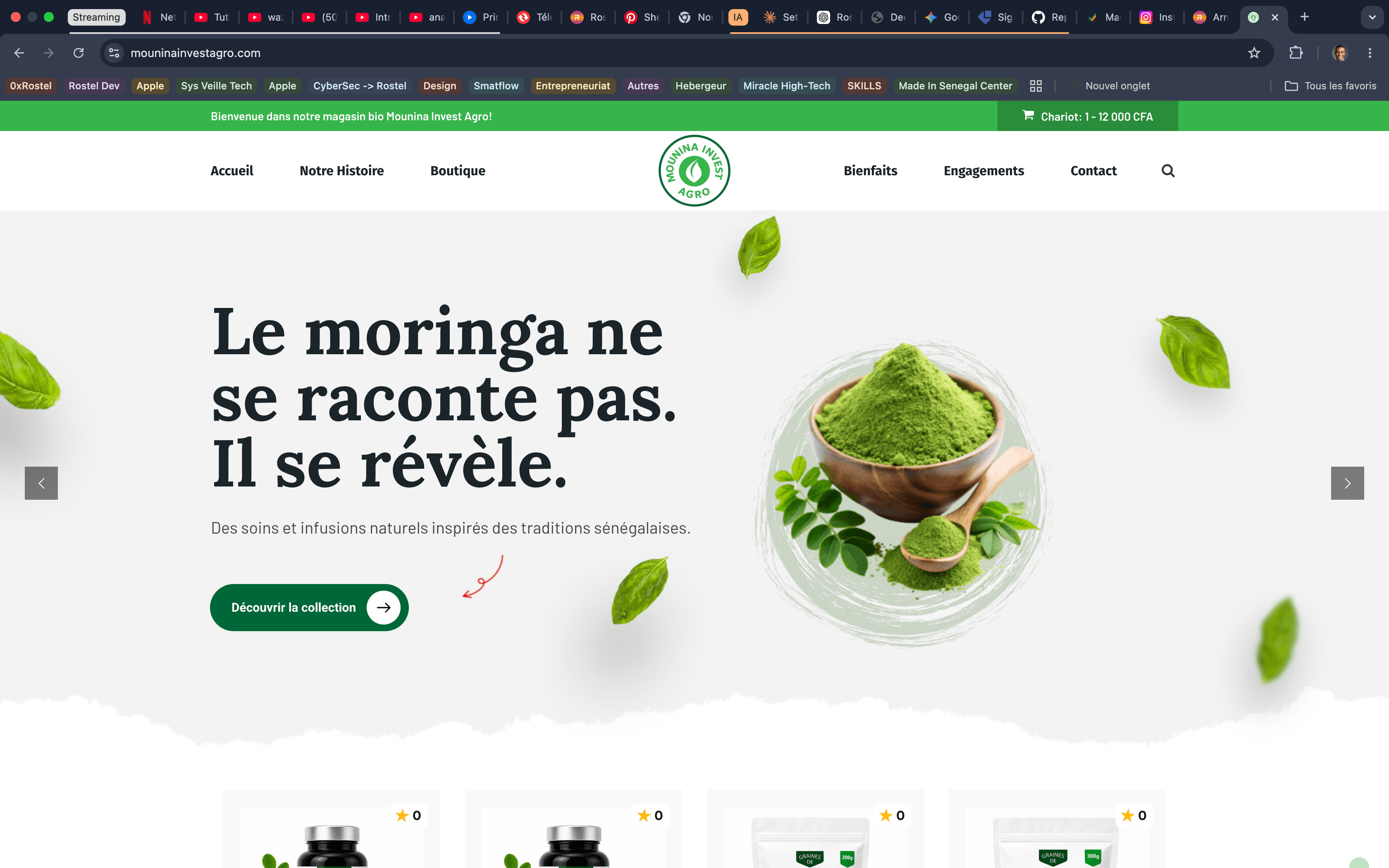 Mounina Invest Agro